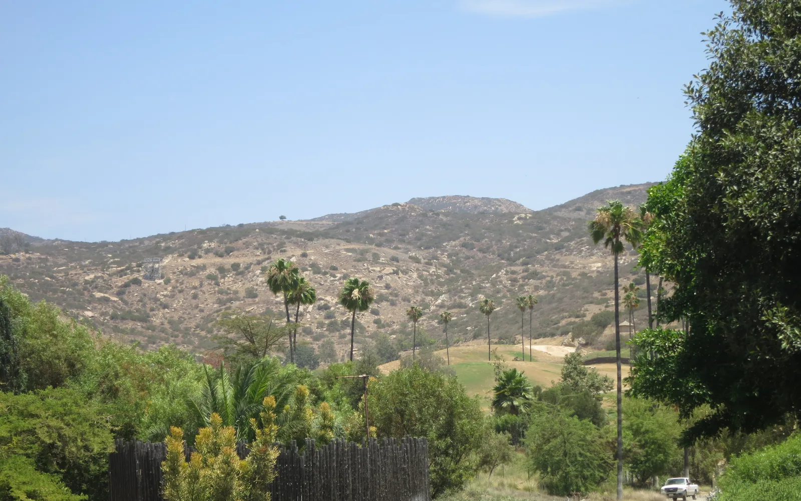 Wildlife display at San Diego Zoo Safari Park with animals and natural landscape